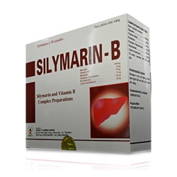 Viên uống SILYMARIN – B, Hộp 100 viên