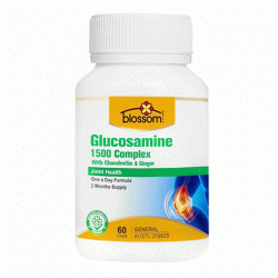 Viên uống xương khớp Blossom Glucosamine 1500mg 60 viên 