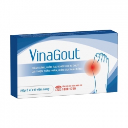VinaGout giảm Acid uric hỗ trợ điều trị Gout