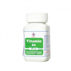 Vitamin B6 250mg Domesco (Chai)