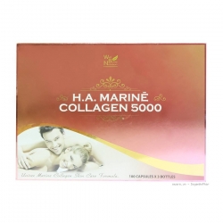 Well being Nutrition H.A Marine Collagen 5000mg - Chai 100 Viên