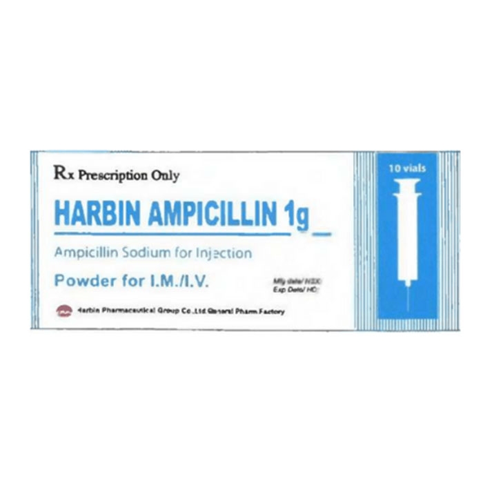 Thuốc bột pha tiêm Harbin Ampicillin 1g, Hộp 10 lọ