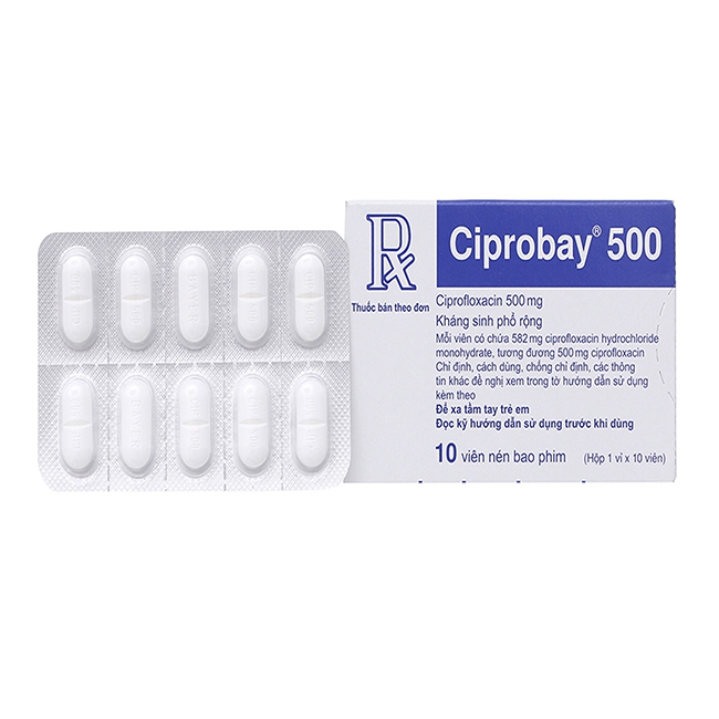 Thuốc Ciprobay 500 mg, Hộp 1 Vỉ x 10 Viên