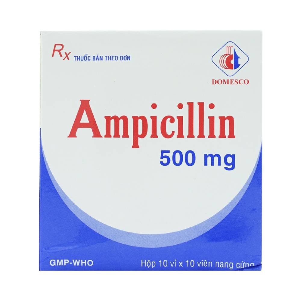 Thuốc kháng sinh Ampicillin 500mg Domesco, Hộp 100 viên