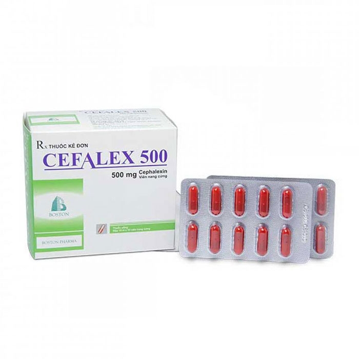 Thuốc kháng sinh Boston Cefalex 500mg, Hộp 100 viên