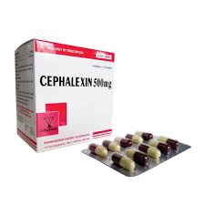 Thuốc kháng sinh Cophavina Cephalexin 500mg, Hộp 100 viên