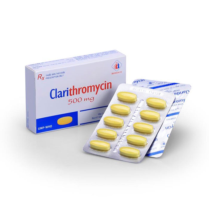 Thuốc kháng sinh Clarithromycin 500mg Domesco