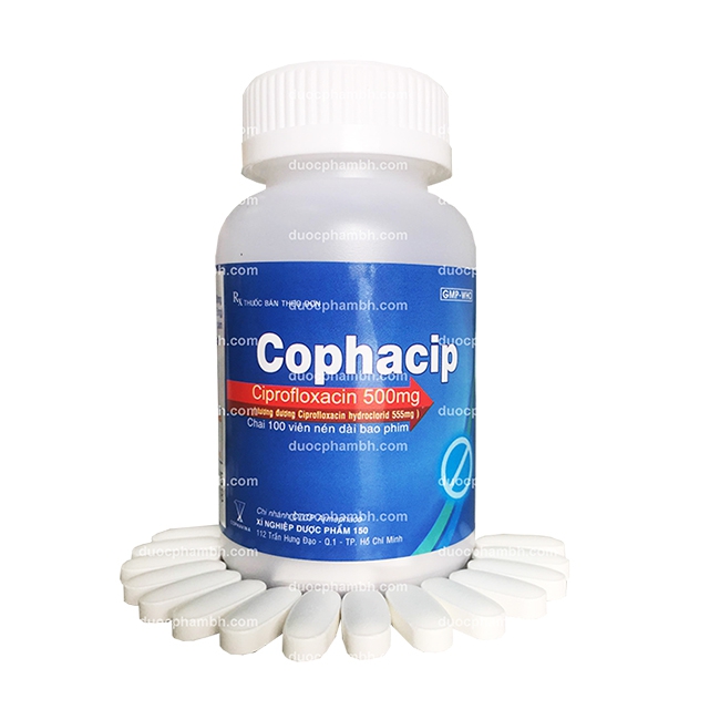 Thuốc kháng sinh Cophavina Cophacip 500mg, Chai 100 viên
