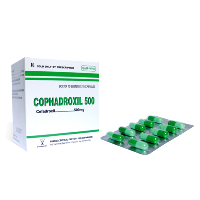 Thuốc kháng sinh Cophavina Cophadroxil 500mg, Hộp 100 viên