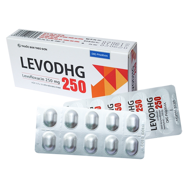 Thuốc kháng sinh LevoDHG 250mg, Hộp 30 viên