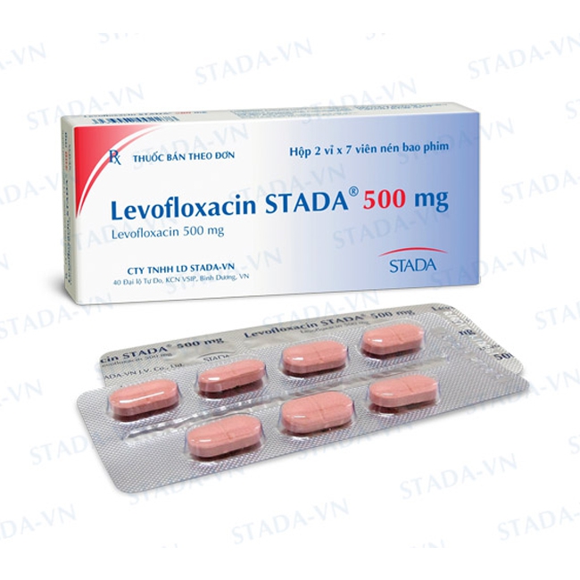 Thuốc kháng sinh Levofloxacin STADA 500 mg