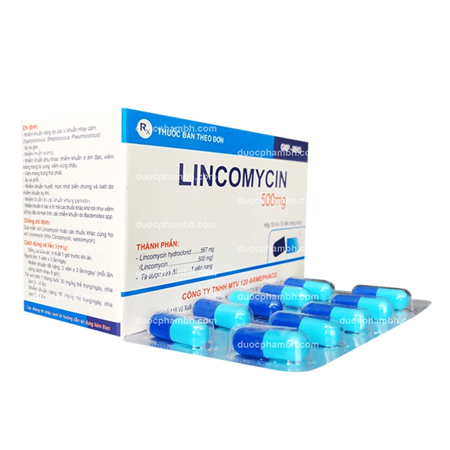 Thuốc kháng sinh LINCOMYCIN 500 - Lincomycin hydroclorid 500mg