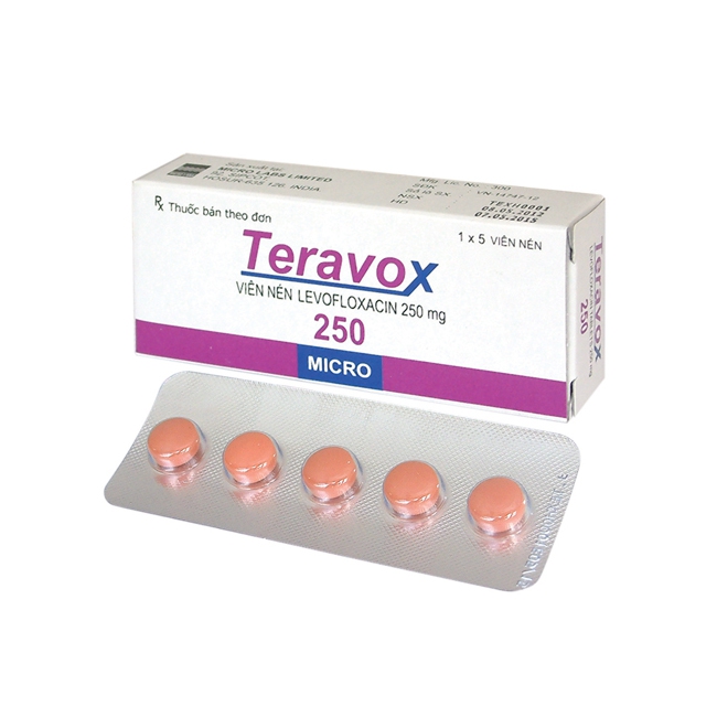 Thuốc kháng sinh TERAVOX 250 Levofloxacin 250mg