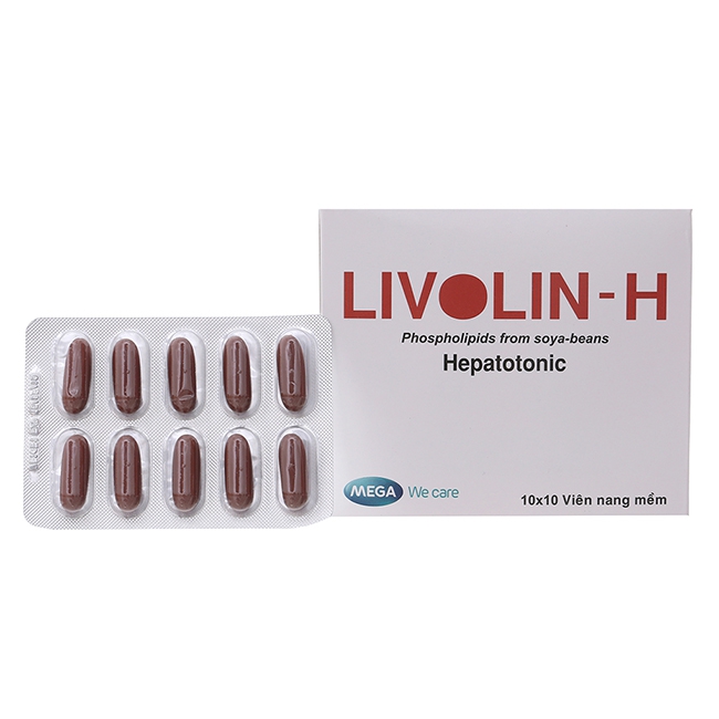 Thuốc Livolin-H 300mg, Hộp 100 viên
