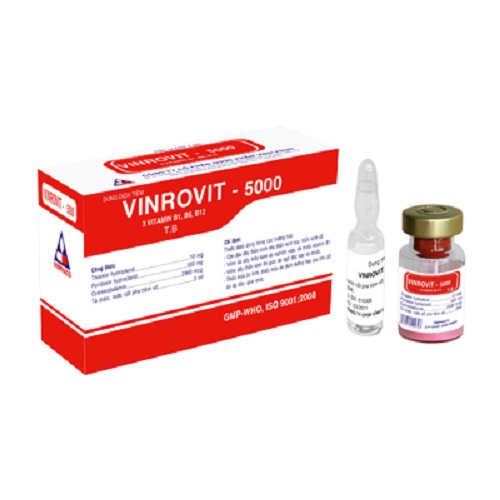 Vinrovit 5000 bổ sung vitamin và khoáng chất | Hộp 4 lọ + 4 ống dung môi pha tiêm